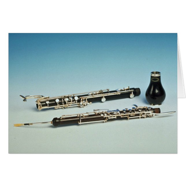 Windinstrument (Voorkant Horizontaal)