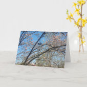 Windklokkenspel en Magnolia Tree Birthday Kaart (Gele Bloem)