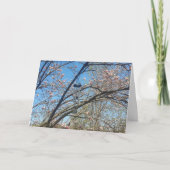 Windklokkenspel en Magnolia Tree Birthday Kaart (Voorkant)