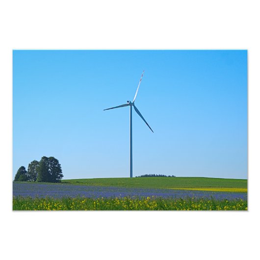 Windkracht Plant - Foto Afdruk (Voorkant)