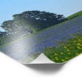 Windkracht Plant - Foto Afdruk (Hoek)