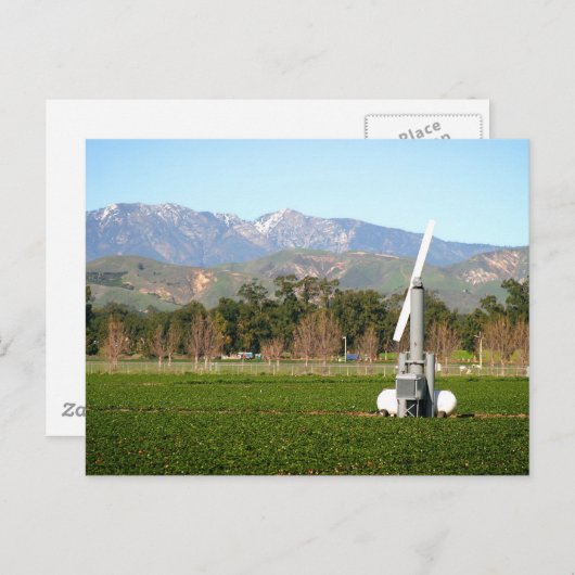 windmachine briefkaart (Voorkant / Achterkant)