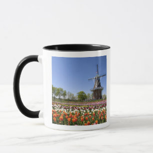 Windmill Island park met tulpen in bloei bij Mok