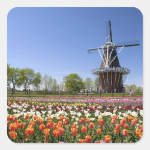 Windmill Island park met tulpen in bloei bij Vierkante Sticker