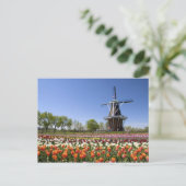 Windmill Island park met tulpen in bloei Briefkaart (Staand voorkant)