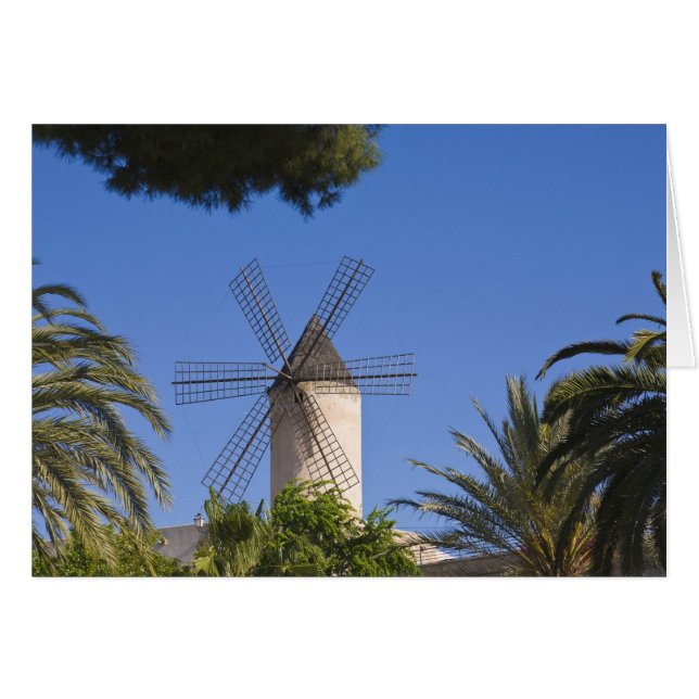Windmill, Palma, Mallorca, Spanje (Voorkant Horizontaal)