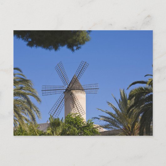 Windmill, Palma, Mallorca, Spanje Briefkaart (Voorkant)