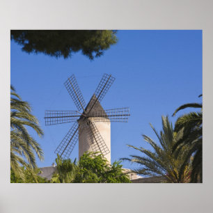 Windmill, Palma, Mallorca, Spanje Poster