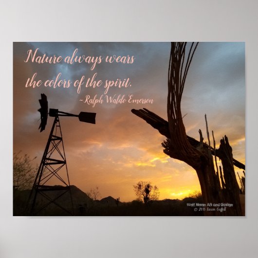 Windmill Saguaro Cactus Skeleton Arizona Sunset Poster (Voorkant)