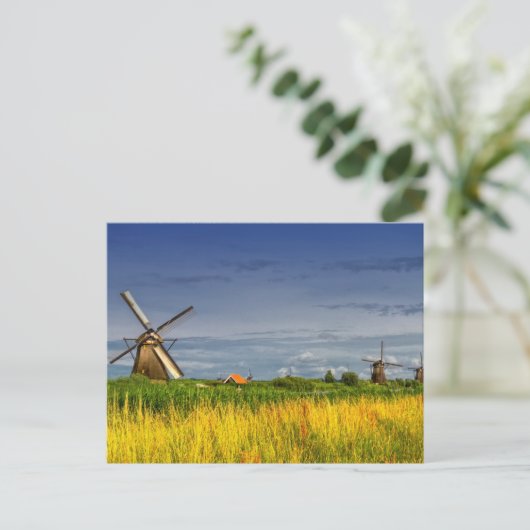 Windmills in Kinderdijk, Holland, Nederland Briefkaart (Staand voorkant)