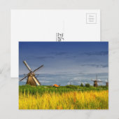 Windmills in Kinderdijk, Holland, Nederland Briefkaart (Voorkant / Achterkant)