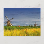 Windmills in Kinderdijk, Holland, Nederland Briefkaart (Voorkant)