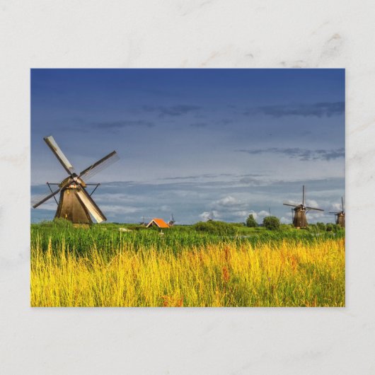 Windmills in Kinderdijk, Holland, Nederland Briefkaart (Voorkant)