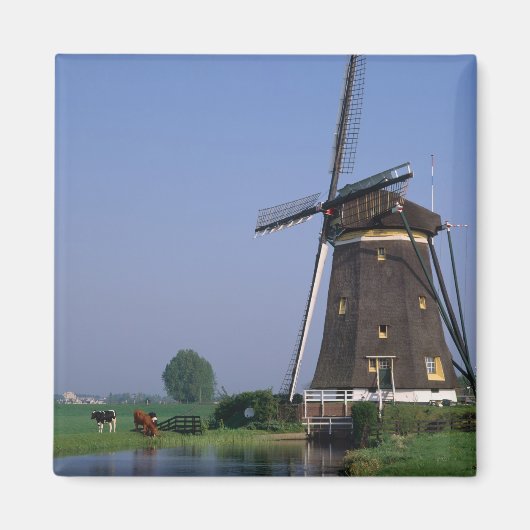 Windmills, Leidschendam, Nederland Magneet (Voorkant)