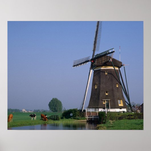 Windmills, Leidschendam, Nederland Poster (Voorkant)