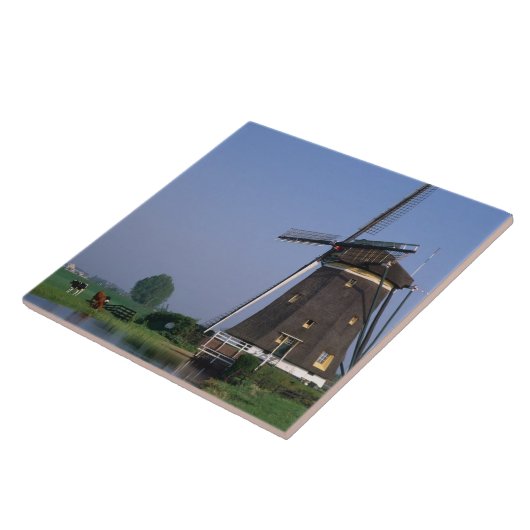 Windmills, Leidschendam, Nederland Tegeltje (Zijkant)