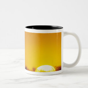 Windmolen bij zonsondergang, Sinton, Texas, VS Tweekleurige Koffiemok