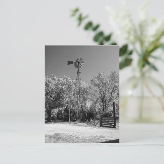 Windmolen Briefkaart (Staand voorkant)