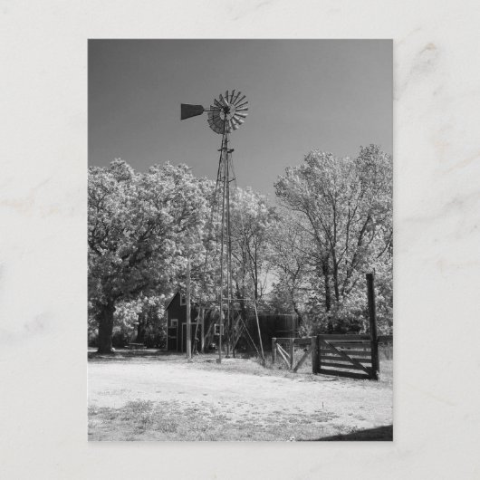 Windmolen Briefkaart (Voorkant)