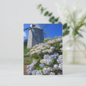 Windmolen en brandkranen Kaapskool Briefkaart (Staand voorkant)