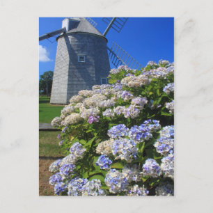 Windmolen en brandkranen Kaapskool Briefkaart