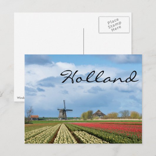 Windmolen en tulpen, briefkaart voor landschapteks (Voorkant / Achterkant)