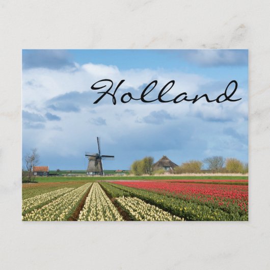 Windmolen en tulpen, briefkaart voor landschapteks (Voorkant)