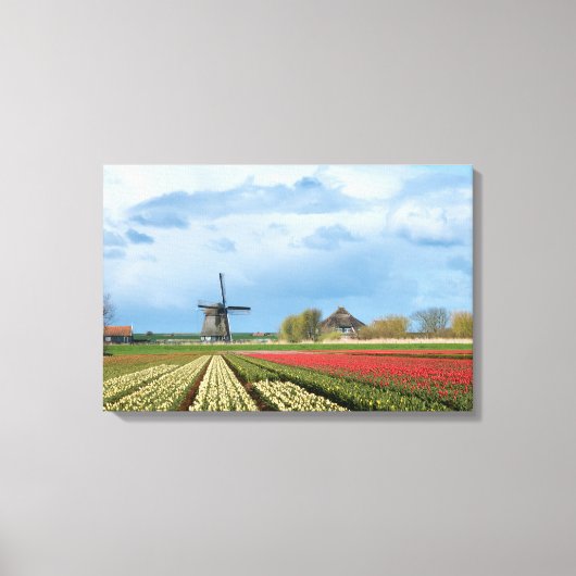 Windmolen en tulpen landschap canvas print (Voorkant)