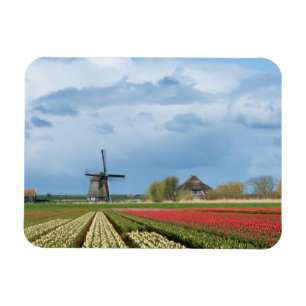 Windmolen en tulpen landschap rechthoekige magneet