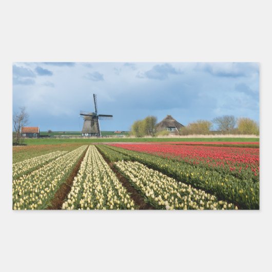 Windmolen en tulpen landschap rechthoekige sticker (Voorkant)