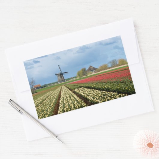 Windmolen en tulpen landschap rechthoekige sticker (Envelop)