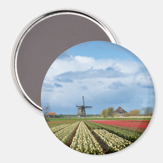 Windmolen en tulpen landschap rond magneet (Voorkant / Achterkant)