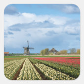 Windmolen en tulpen landschap sticker (Voorkant)