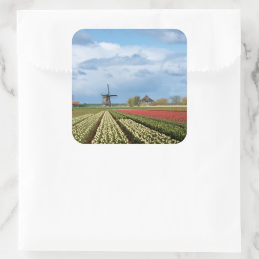 Windmolen en tulpen landschap sticker (Tas)