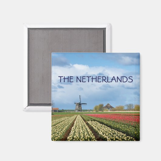 Windmolen en tulpen landschap tekst magneet (Voorkant / Achterkant)
