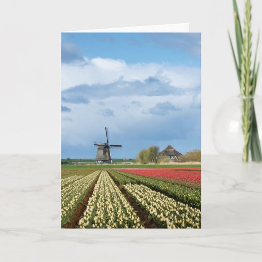 Windmolen en tulpen landschap wenskaart kaart (Voorkant)