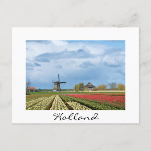Windmolen en tulpen, landschap, wit briefkaart