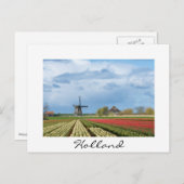 Windmolen en tulpen, landschap, wit briefkaart (Voorkant / Achterkant)