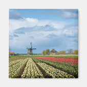 Windmolen en tulpen landschapsmagneet magneet (Voorkant)