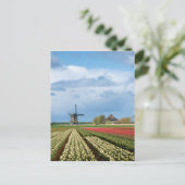 Windmolen en tulpen verticaal briefkaart (Staand voorkant)