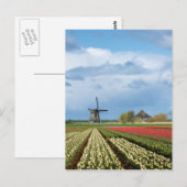 Windmolen en tulpen verticaal briefkaart (Voorkant / Achterkant)