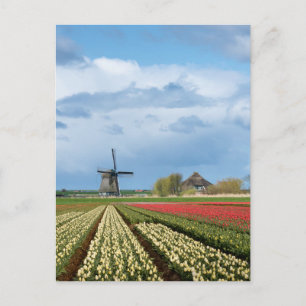 Windmolen en tulpen verticaal briefkaart