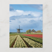 Windmolen en tulpen verticaal briefkaart (Voorkant)