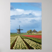 Windmolen en tulpen verticaal poster (Voorkant)