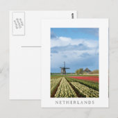 Windmolen en tulpen verticaal wit briefkaart (Voorkant / Achterkant)