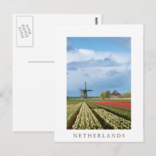 Windmolen en tulpen verticaal wit briefkaart (Voorkant / Achterkant)