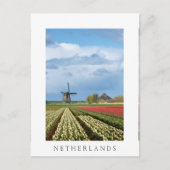 Windmolen en tulpen verticaal wit briefkaart (Voorkant)