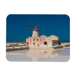 Windmolen en zoutpannen in de salina van Trapani Magneet