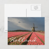 Windmolen met roze tulpen in de lente briefkaart (Voorkant / Achterkant)