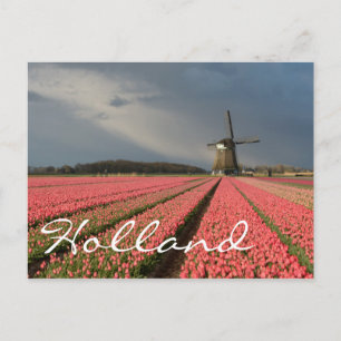 Windmolen met roze tulpen in de lente briefkaart
